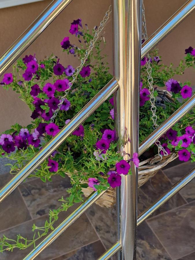 ויר Apartments Marija מראה חיצוני תמונה